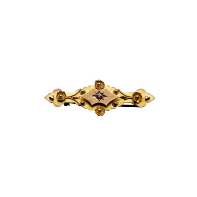 Victorian 9 Karat Yellow Gold Pin
