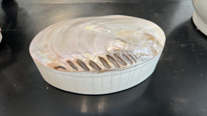 Large Abalone Box - Image 4