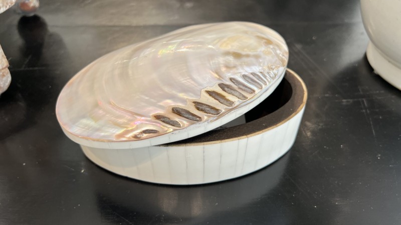 Large Abalone Box - Image 5