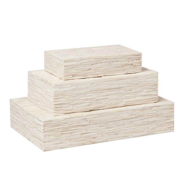 Decorative Chiseled Bone Storage Box