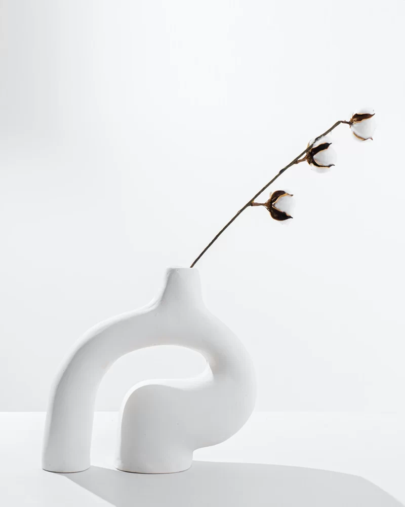 Curvy Vase