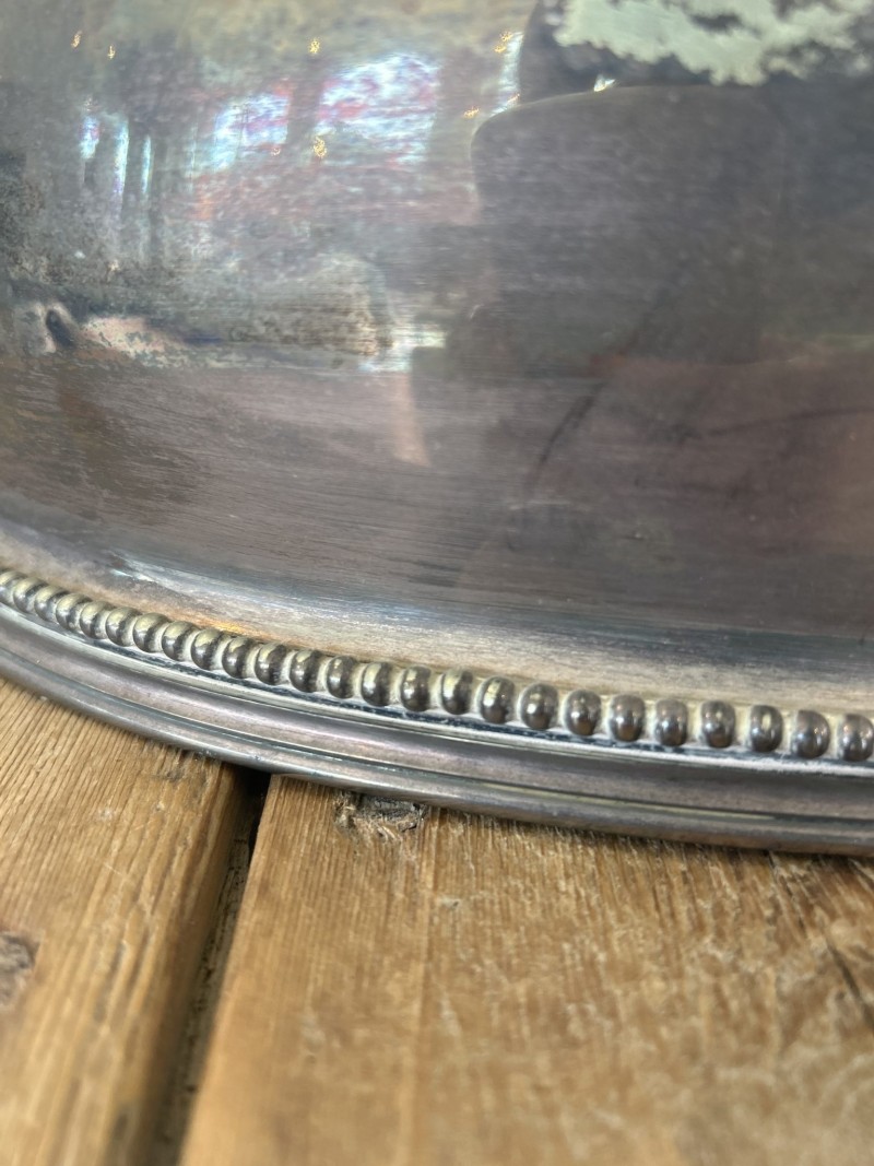 Cloche with Whippet or Greyhound - Image 5