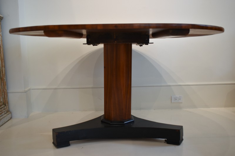 19th Century French Art Nouveau Cross Section Walnut Table - Image 4