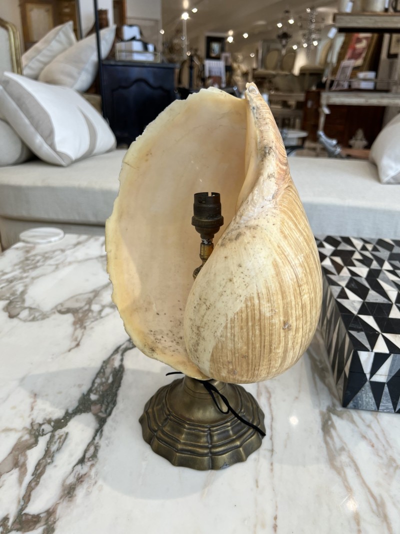 French Mid-Century Shell Lamp - Image 2