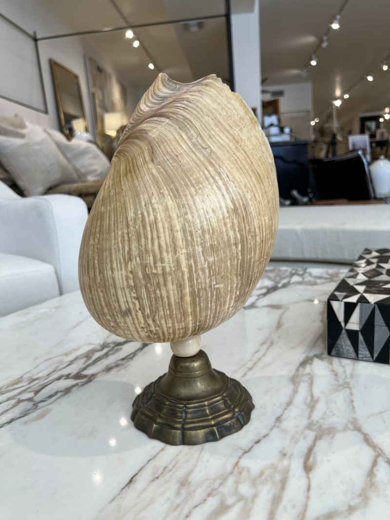 French Mid-Century Shell Lamp - Image 3