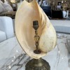 French Mid-Century Shell Lamp - Image 5