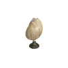French Mid-Century Shell Lamp