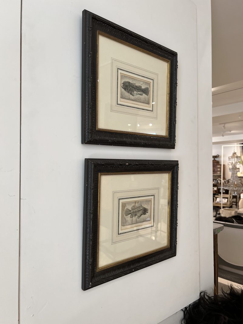 Pair of Framed Fish Etchings - Image 4