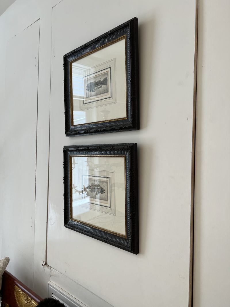 Pair of Framed Fish Etchings - Image 3