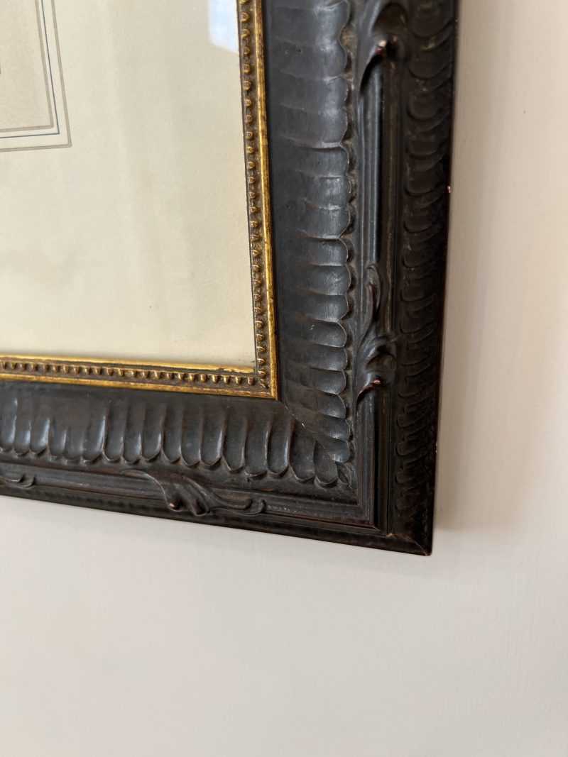 Pair of Framed Fish Etchings - Image 6