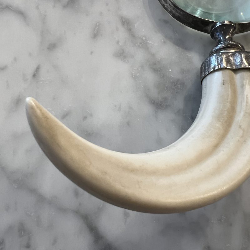 Tusk Shaped Magnifying Glass - Image 4