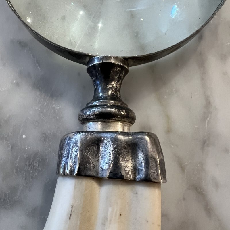 Tusk Shaped Magnifying Glass - Image 3