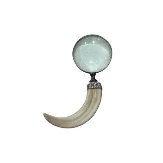 Tusk Shaped Magnifying Glass