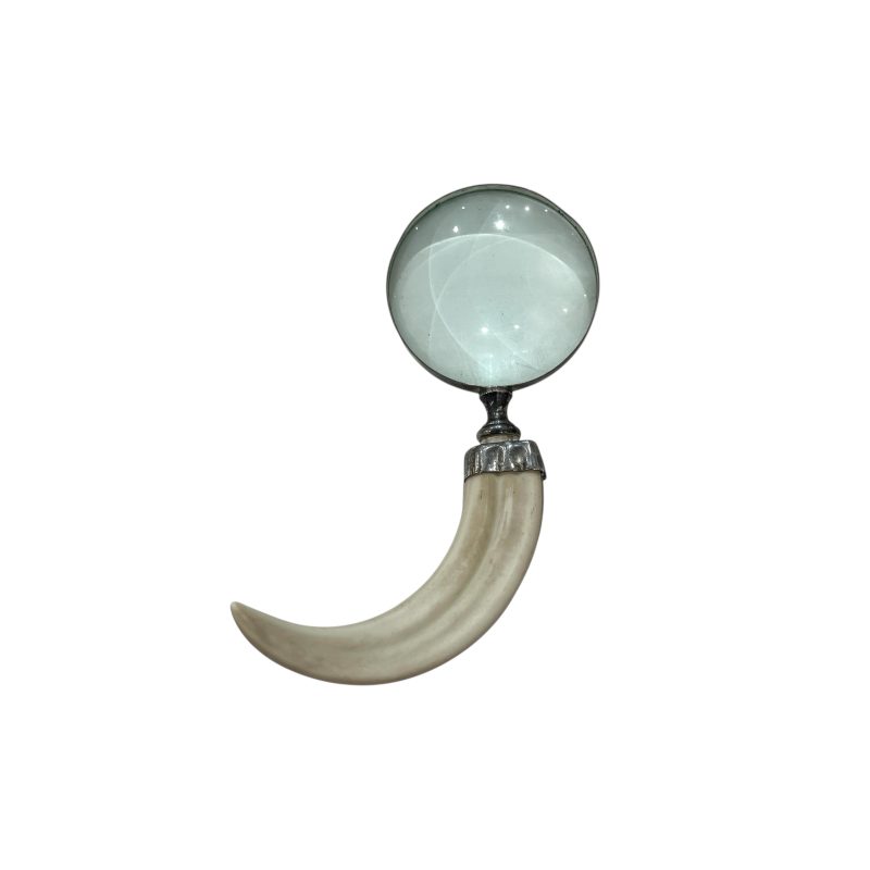Tusk Shaped Magnifying Glass