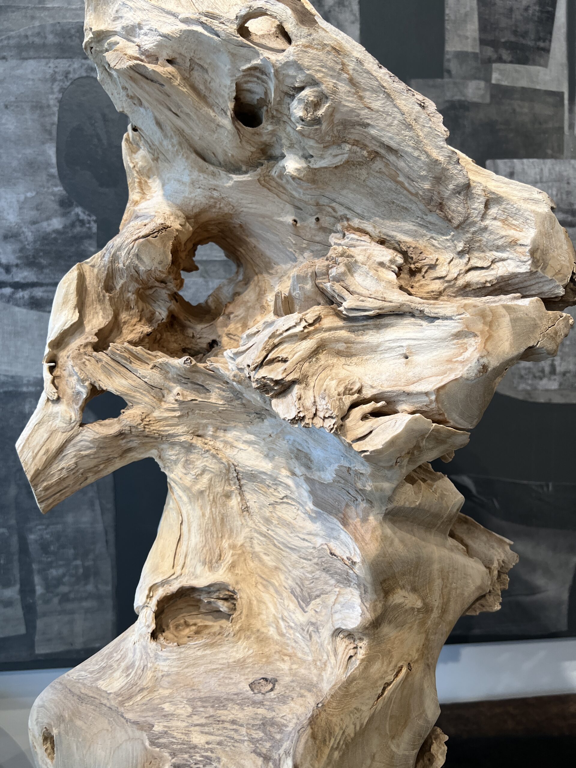 Bleached Wood Organic Sculpture on Stand - Image 4