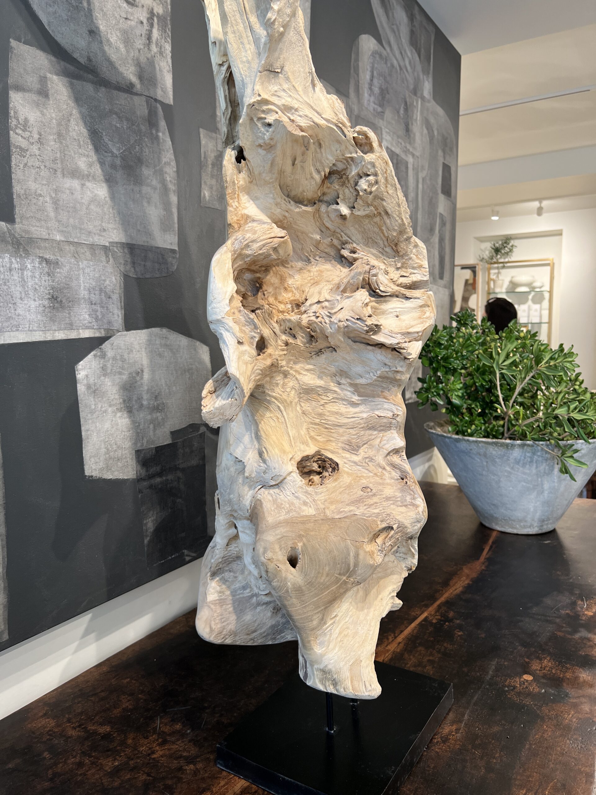 Bleached Wood Organic Sculpture on Stand - Image 6