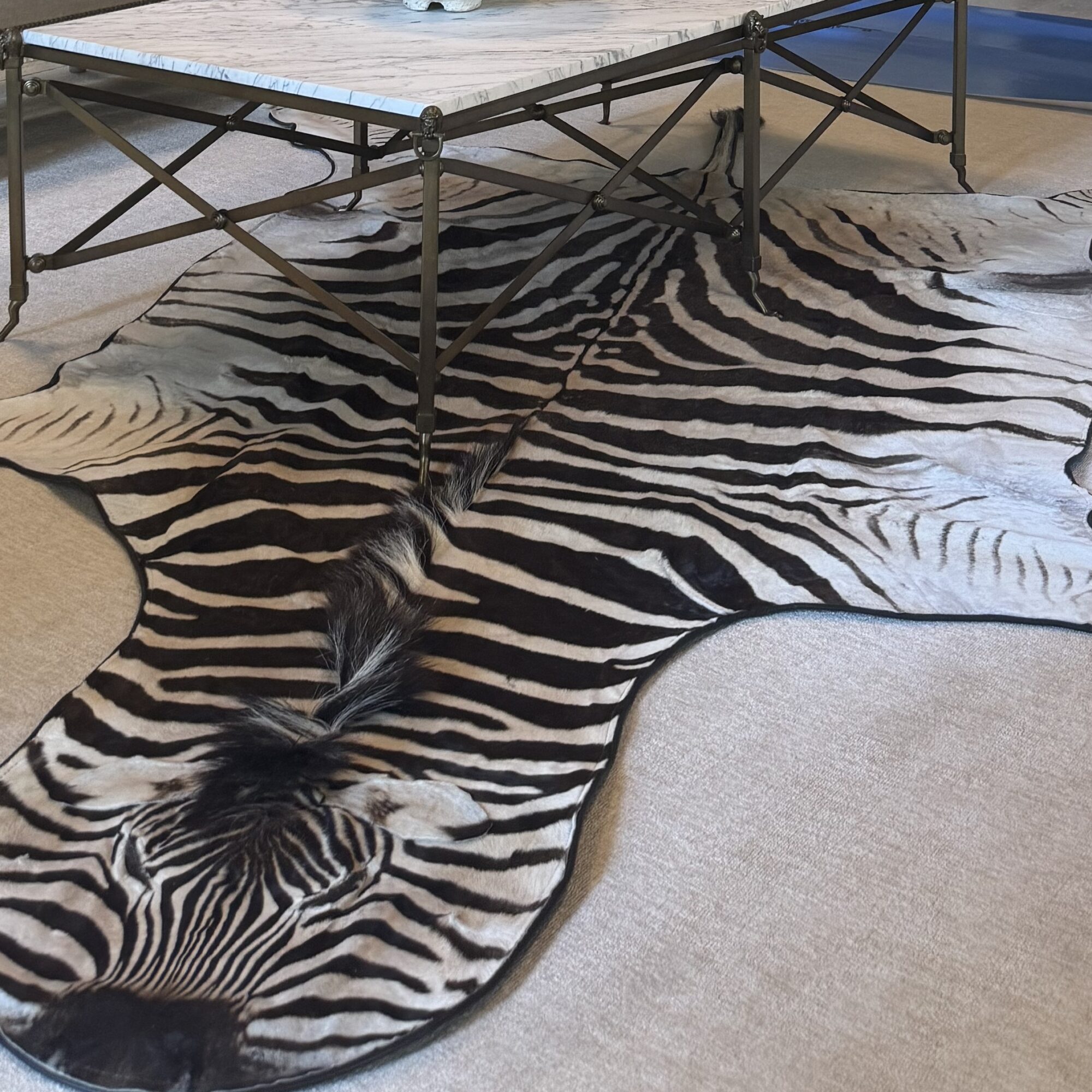 Zebra Hide