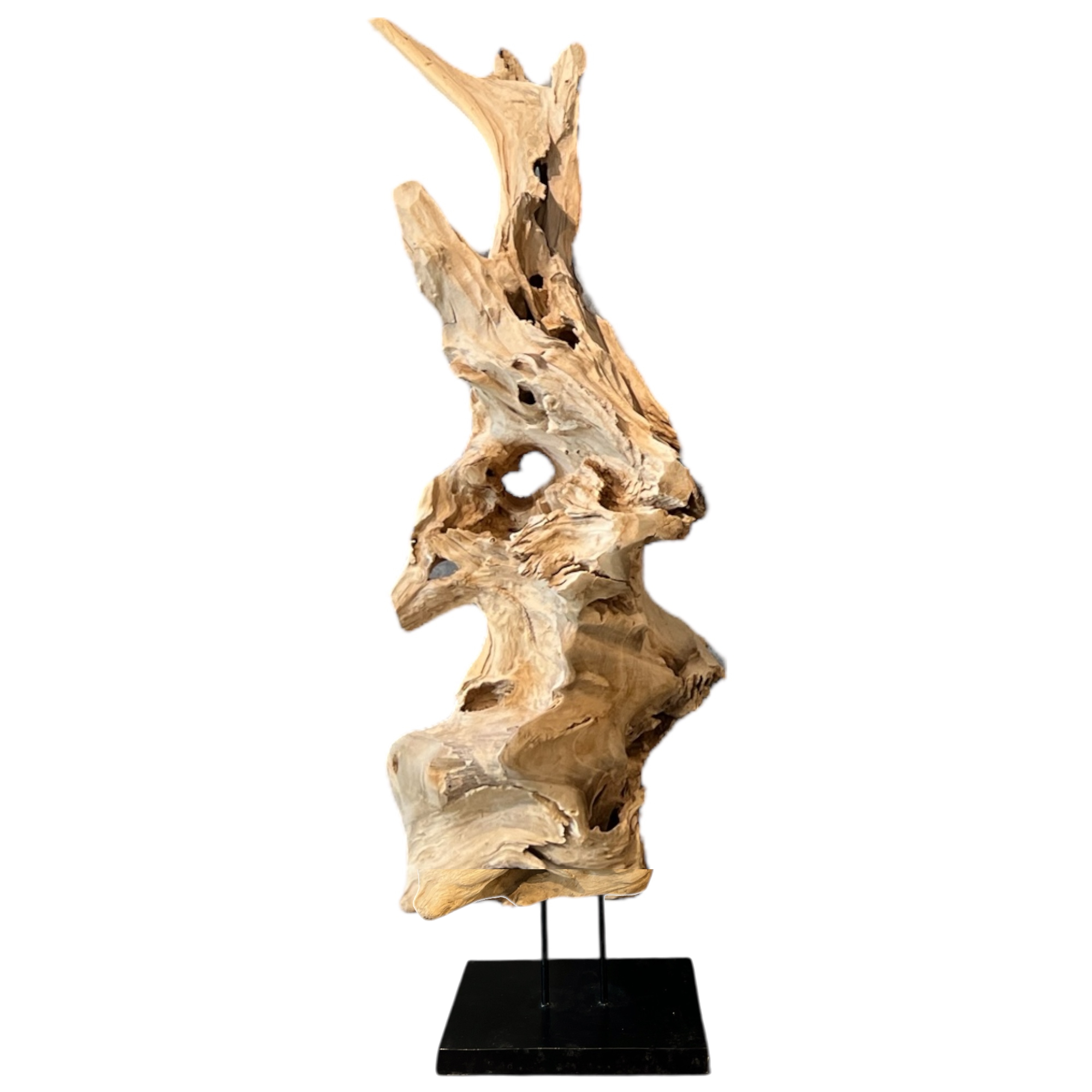 Bleached Wood Organic Sculpture on Stand